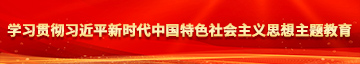 好吊操精品黄片视频学习贯彻习近平新时代中国特色社会主义思想主题教育